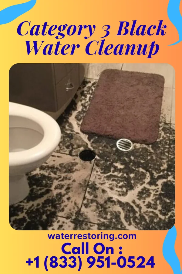 Category 3 Black Water Cleanup in Speers, PA