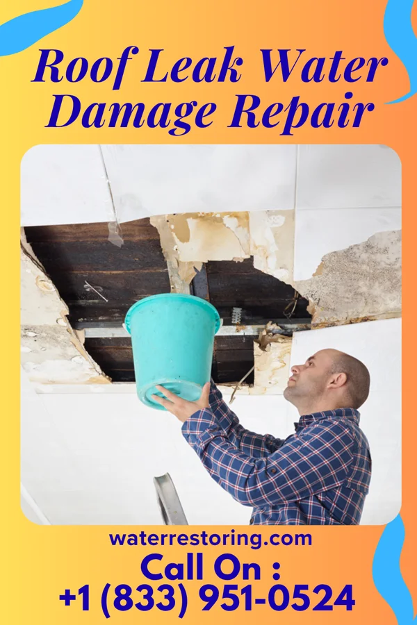 Roof Leak Water Damage Repair in Speers, PA