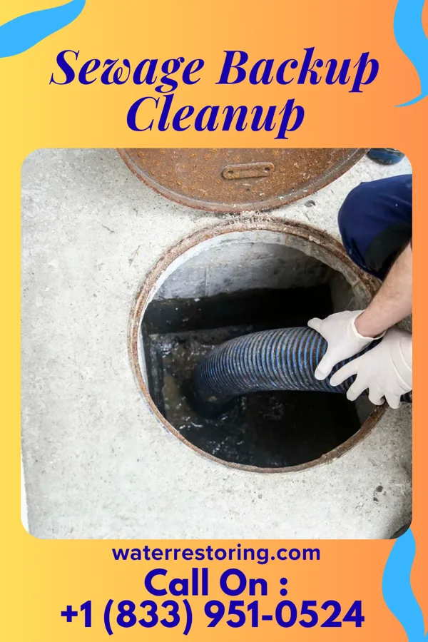 Sewage Backup Cleanup in Speers, PA
