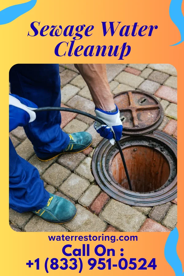 Sewage Water Cleanup in Speers, PA
