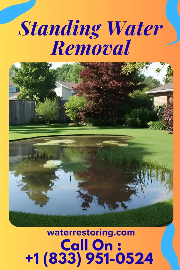 Standing Water Removal in Speers, PA